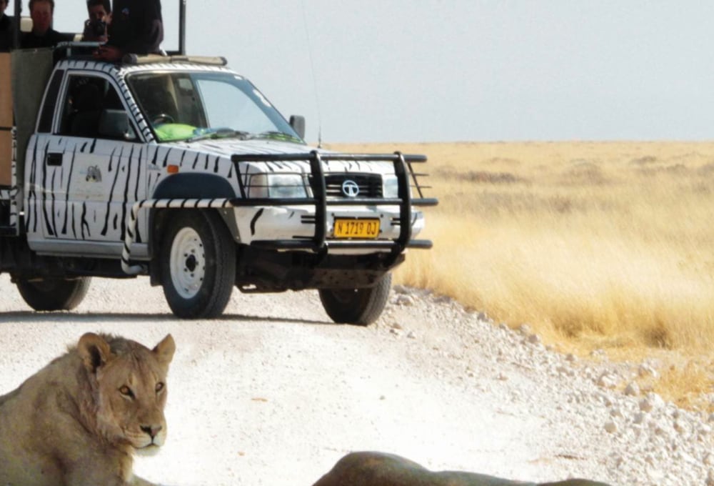 Etosha Safari Campsite Gondwana Collection Namibia